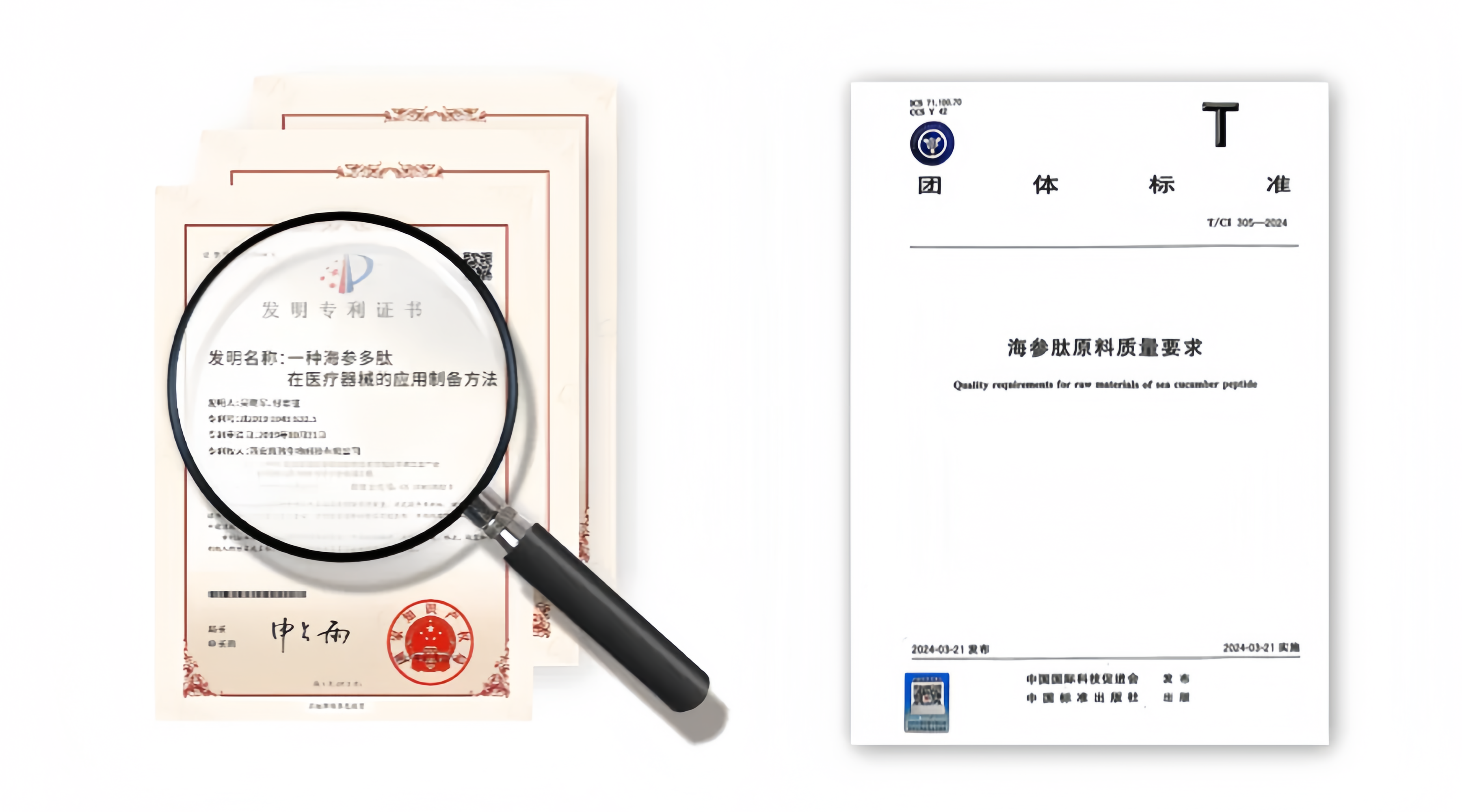 1326d62d09d866d422359439a65463d 1326d62d09d866d422359439a65463d